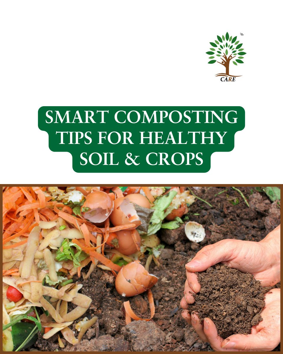 careagros123's tweet image. Turn your farm waste into gold for your soil! 
Composting is the natural way to recycle nutrients, enrich soil, and boost crop yield sustainably. 

#CareAgros #SmartFarming
#CompostingTips #OrganicFarming #SoilHealth #CareAgros #FarmSolutions #SustainableFarming g