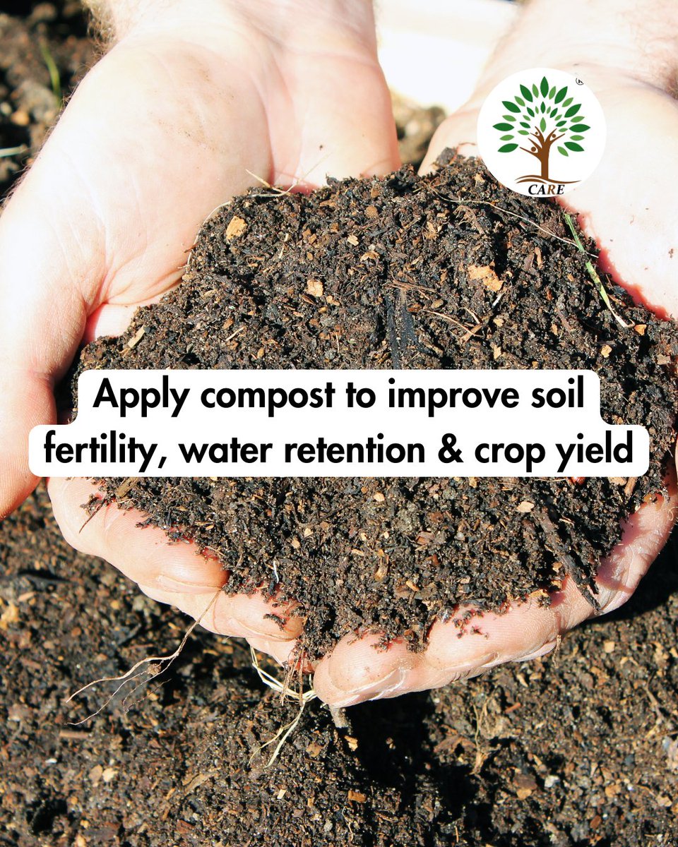 careagros123's tweet image. Turn your farm waste into gold for your soil! 
Composting is the natural way to recycle nutrients, enrich soil, and boost crop yield sustainably. 

#CareAgros #SmartFarming
#CompostingTips #OrganicFarming #SoilHealth #CareAgros #FarmSolutions #SustainableFarming g