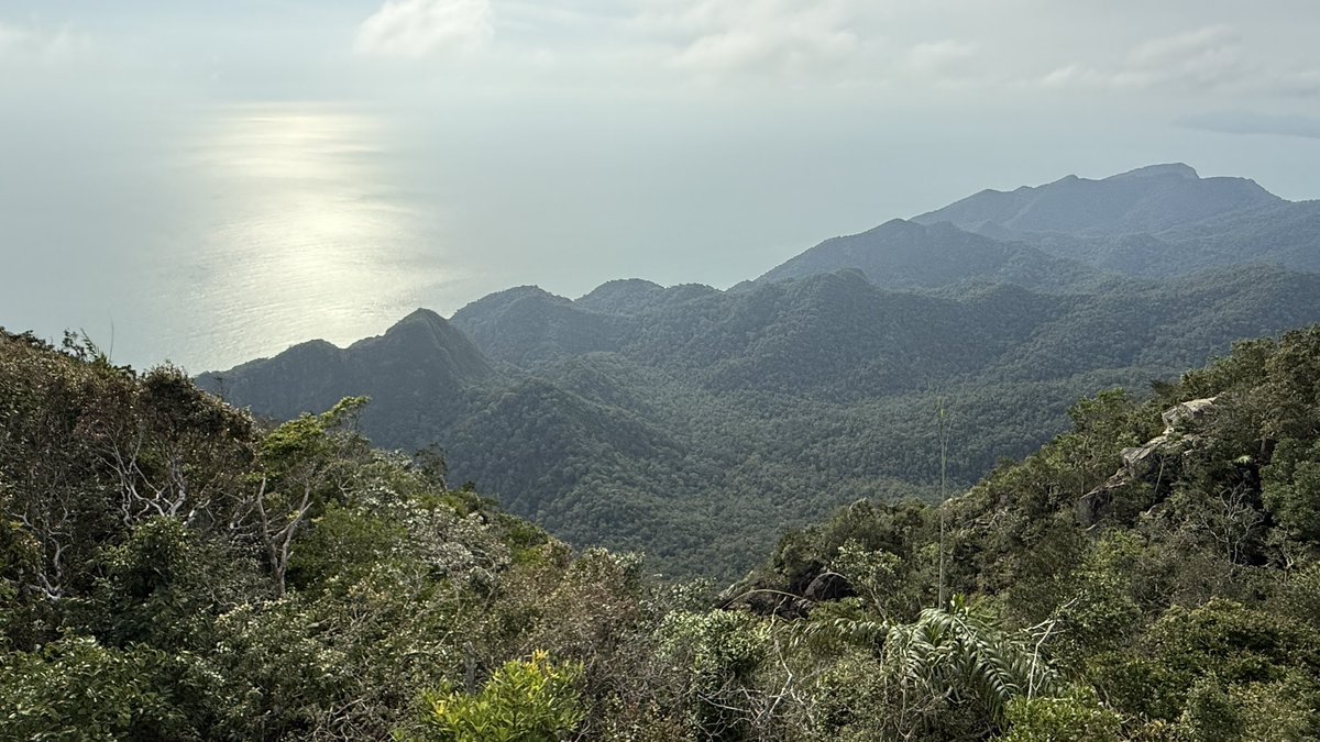 On the week before the new semester has started, my research team had an annual retreat, this time — in Langkawi, Malaysia. Three days of brainstorming, coding, hiking, and enjoying beautiful nature and amazing food. Join NUS!