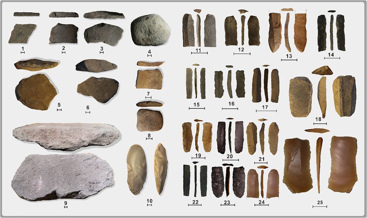 En la imagen se observan algunas de las primeras herramientas que la humanidad utilizó para recolectar vegetales en la cueva de Toda-1 (Uzbekistán),, en una zona alejada del Creciente Fértil (Xinying Zhou et al., 2025): 1-3, 7. Yunque tabular (ca. 8000 cal BP); 4. Martillo de