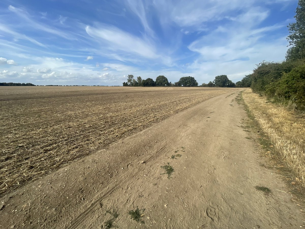 I take my dog for walks from home every day around our edge of Colchester and always take binos (or a scope 👀) just in case. The last month has been really good here with Wood Sand, Ruff, Greenshank, 13 Green Sand, Whinchat, Wheatear, Ravens, &amp; Spot Fly! <a href="/EssexBirdNews/">EBwS Bird News</a>