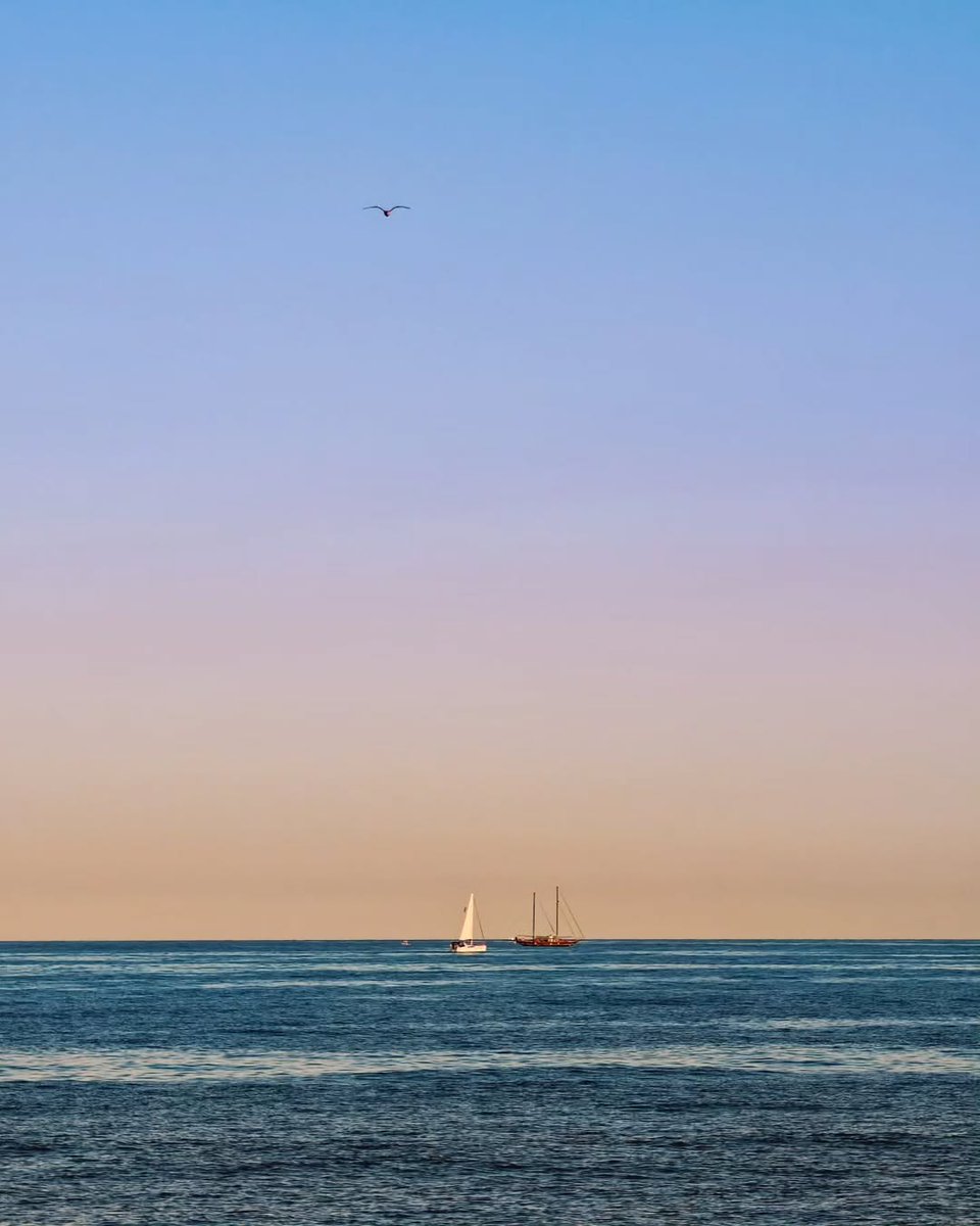 Snapdragon FR tweet media