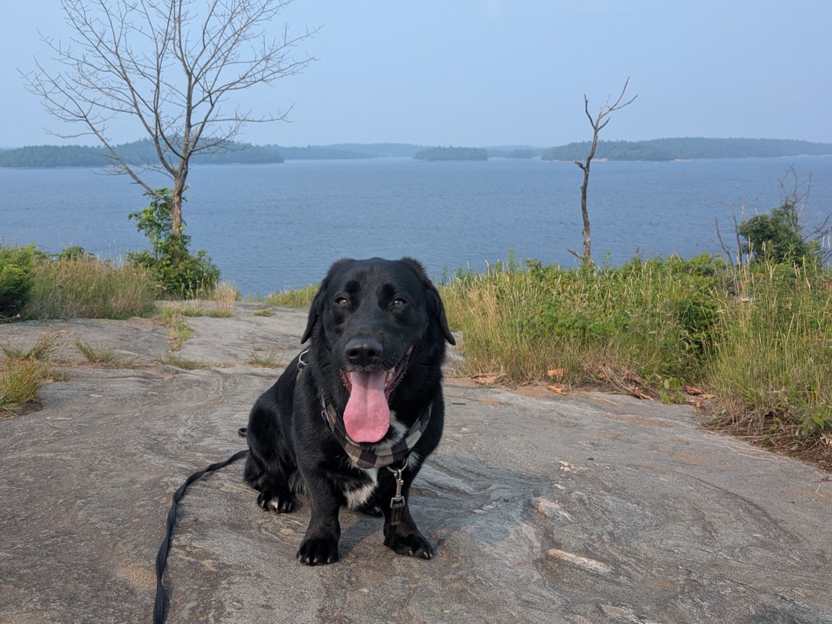 ParcsOntario's tweet image. Qui emmène son chien préféré avec lui pour le #Défi30x30? 🐶🐾

Voyons les photos de votre chien dans la nature! 📸

#SPSP #JournéeNationaleDuChien