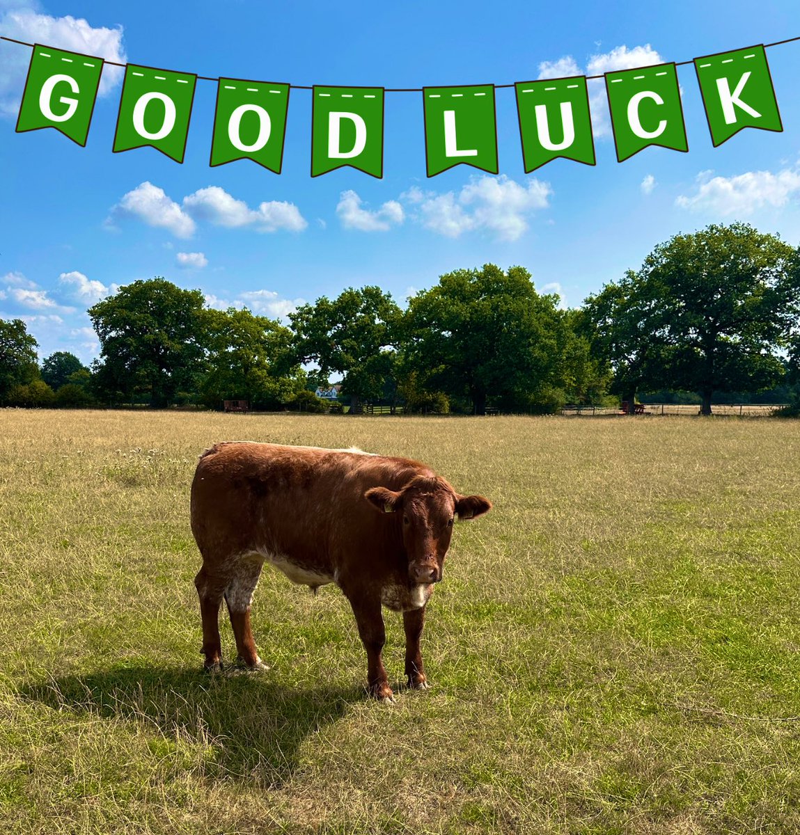 Nick Lyons tweet media