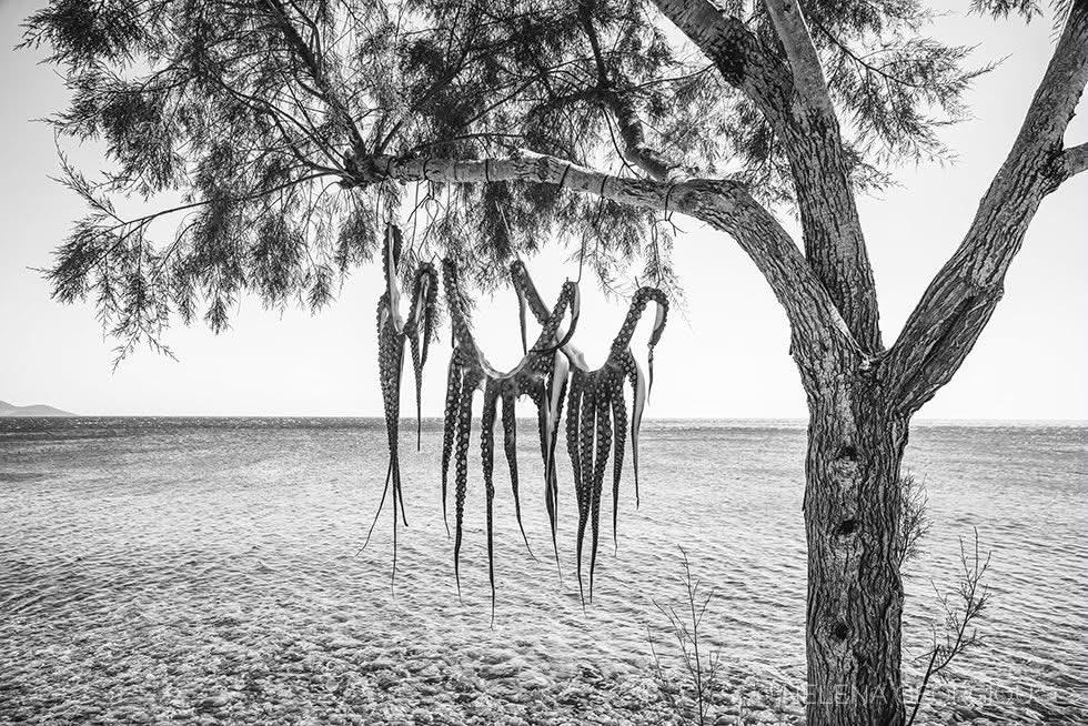 Frau_Nikon's tweet image. #Greece #Samos #streetphotography