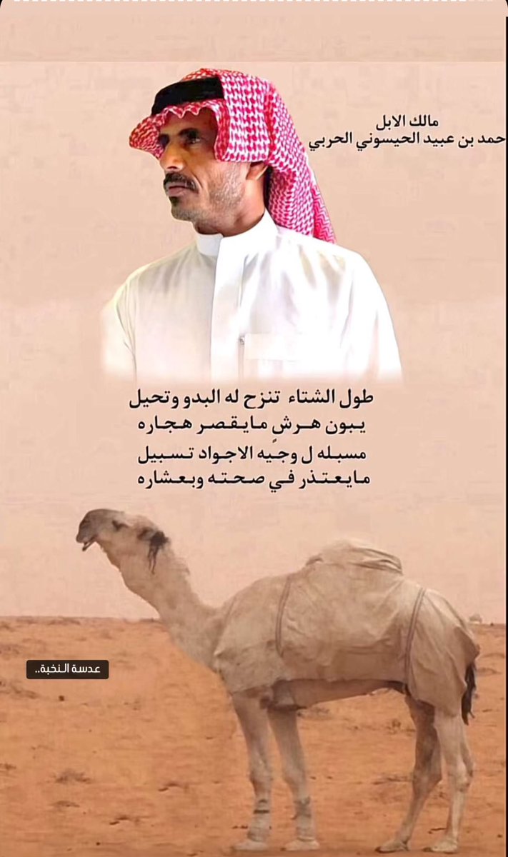 #حمد_الحيسوني 
صاحب اشهر سلاله حيسونيه ومبيوعات مليونيه تفوقت على جميع السلالات 🔥

#السلاله_الحيسونيه