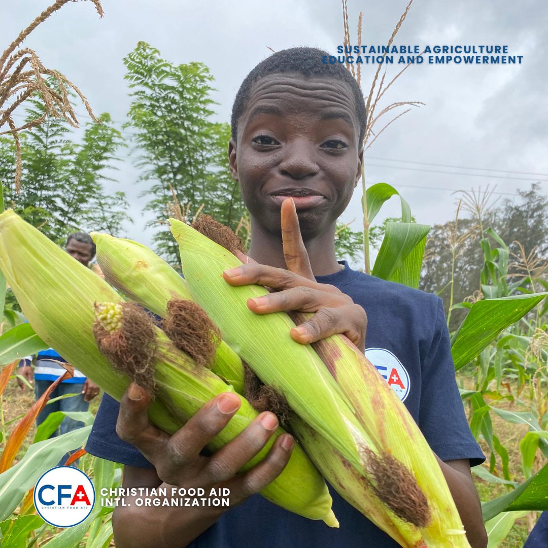 CFA_Intl's tweet image. Busy &amp;amp; fruitful day!
At St. John’s Grammar School, we weeded, guided students to mark a new garden, harvested  &amp;amp; saw our Amaranthus, Jute sprout + taller chilli peppers!
At Moremi High School, more harvests  &amp;amp; watering our veggies 💧.
#SAEEProject #ChristianFoodAid #HarvestOfHope