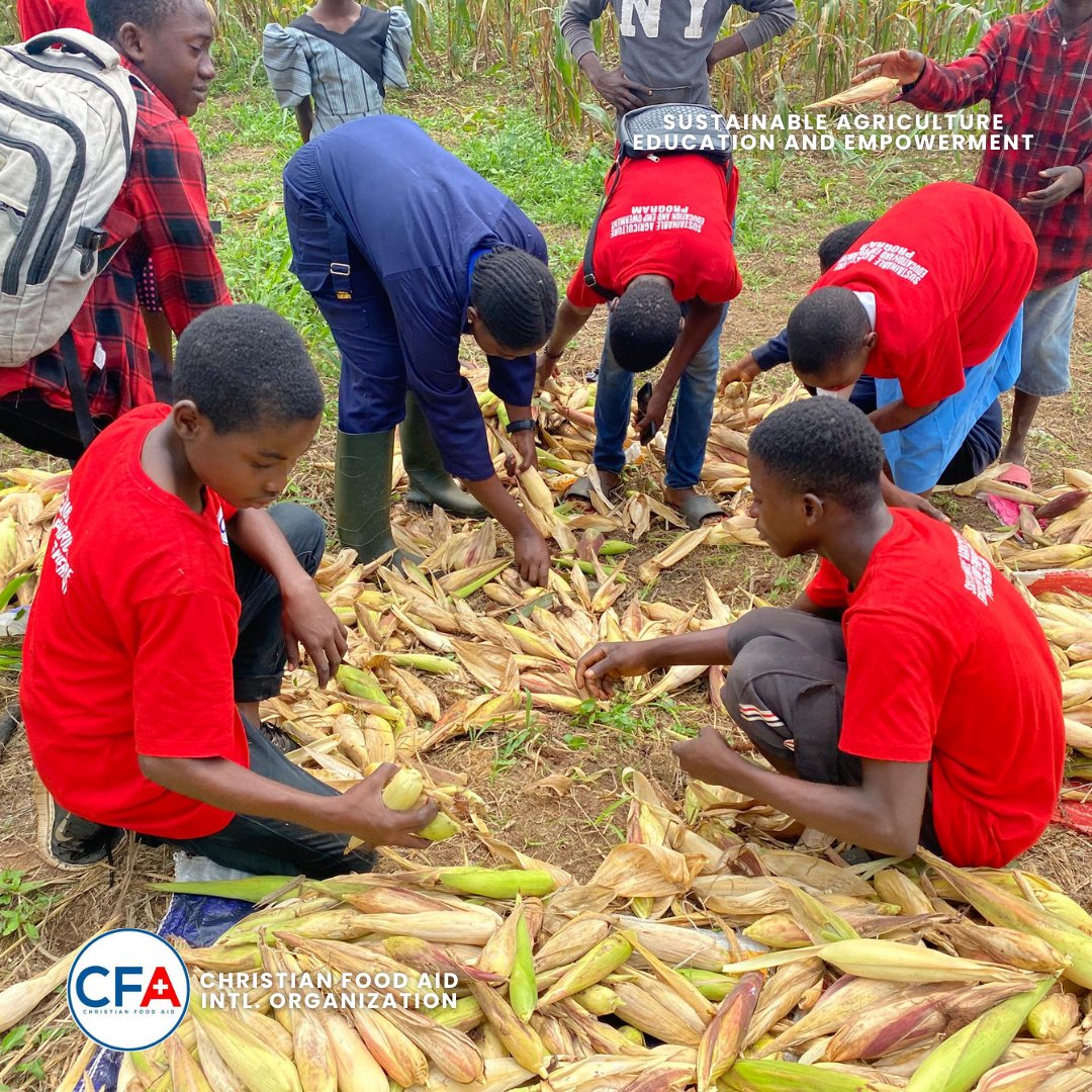 CFA_Intl's tweet image. Busy &amp;amp; fruitful day!
At St. John’s Grammar School, we weeded, guided students to mark a new garden, harvested  &amp;amp; saw our Amaranthus, Jute sprout + taller chilli peppers!
At Moremi High School, more harvests  &amp;amp; watering our veggies 💧.
#SAEEProject #ChristianFoodAid #HarvestOfHope
