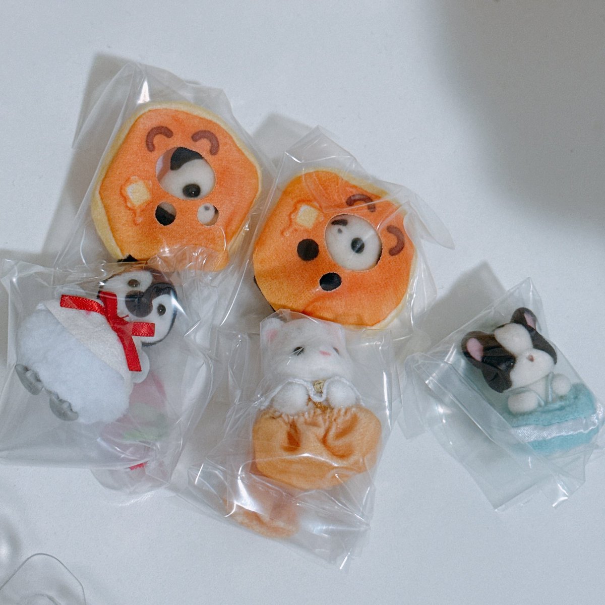 deshi_kun's tweet photo. キラキラくじ、ラッコもシマエナガも出ず😭でもかわいい https://t.co/Bwf3E5yyrb
