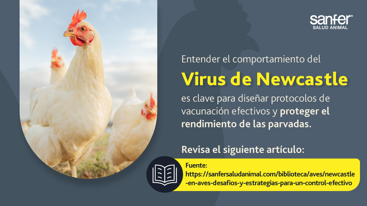 sanfersaludanimal.com/biblioteca/ave…