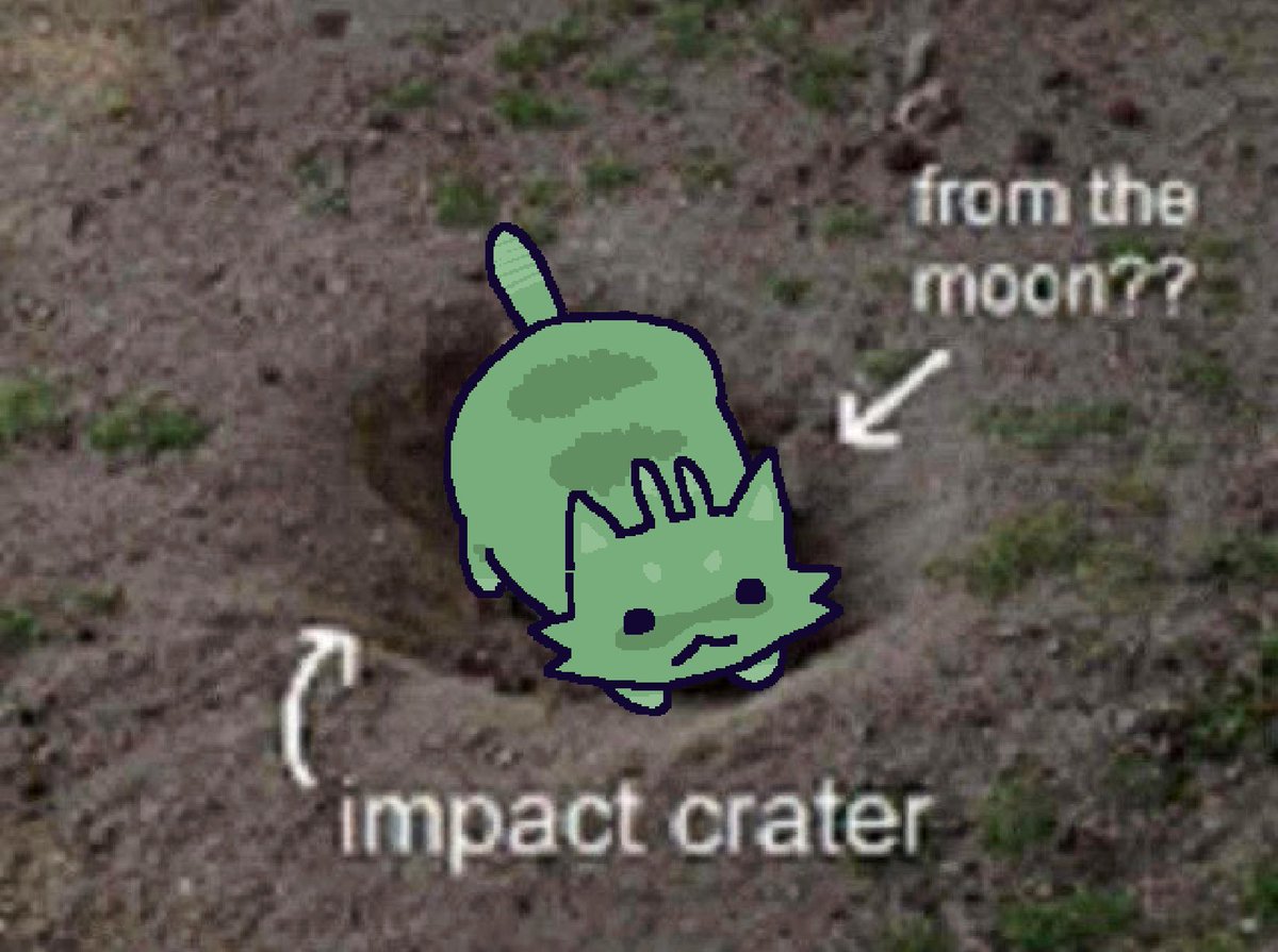 Quark (@quarkopossum) on Twitter photo 