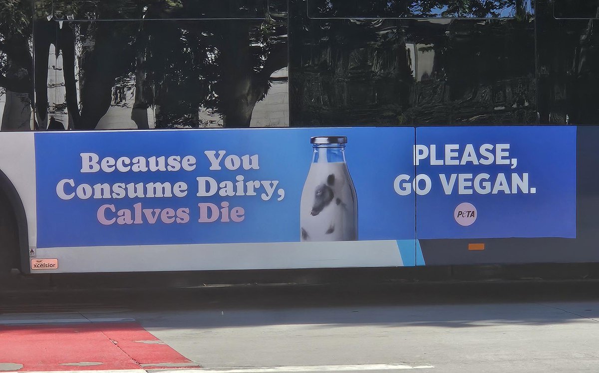 Spotted on a Metro bus in Madison, WI.

This is America’s Dairyland. We run on cheese curds and support our farmers. PETA can shove it.