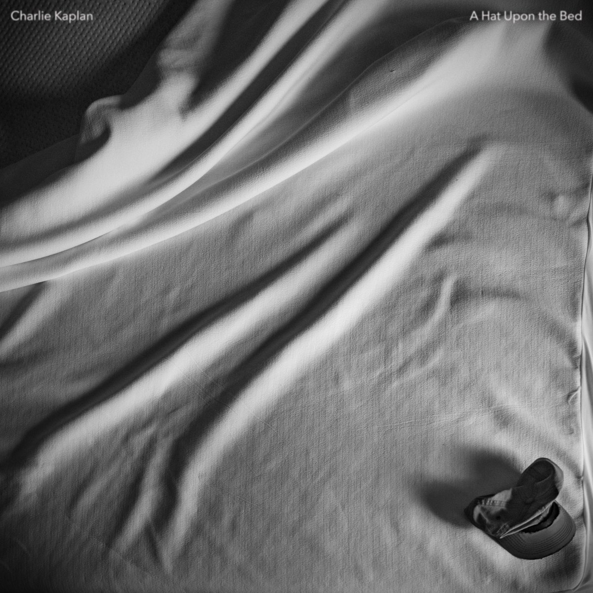 Charlie Kaplan tweet media