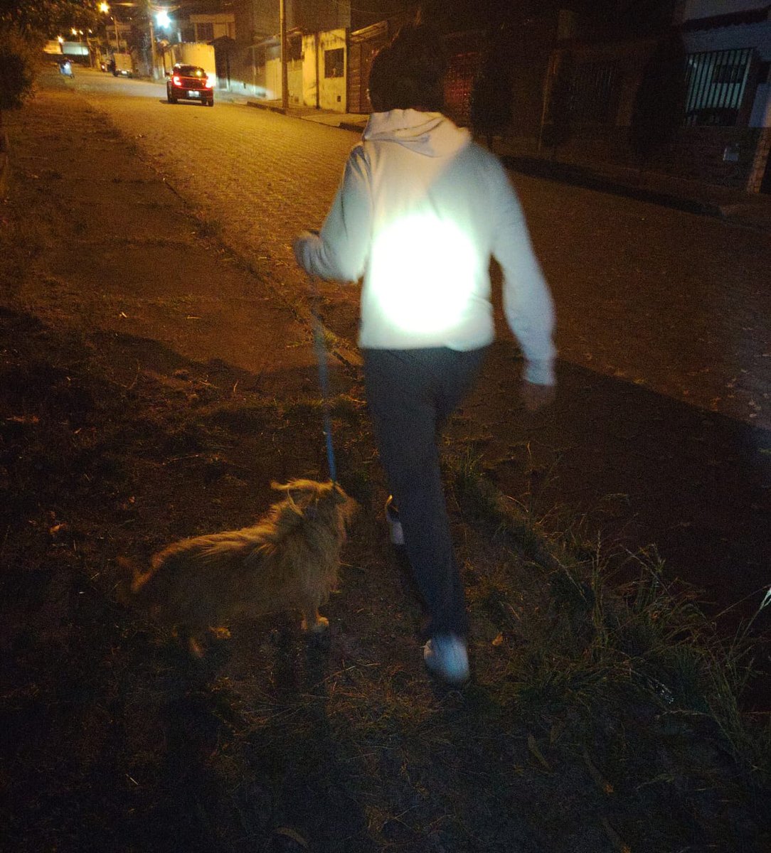 #Rescate🐶🐕|| 18H48

Hoy rescatamos a Chiquita un can que cayó en la quebrada de aproximadamente 15 metros

La oportuna invención del personal de rescate hizo que Chiquita fuera recuperada y ahora se encuentra en condiciones seguras bajo el cuidado de sus dueños

#SalvandoVidas