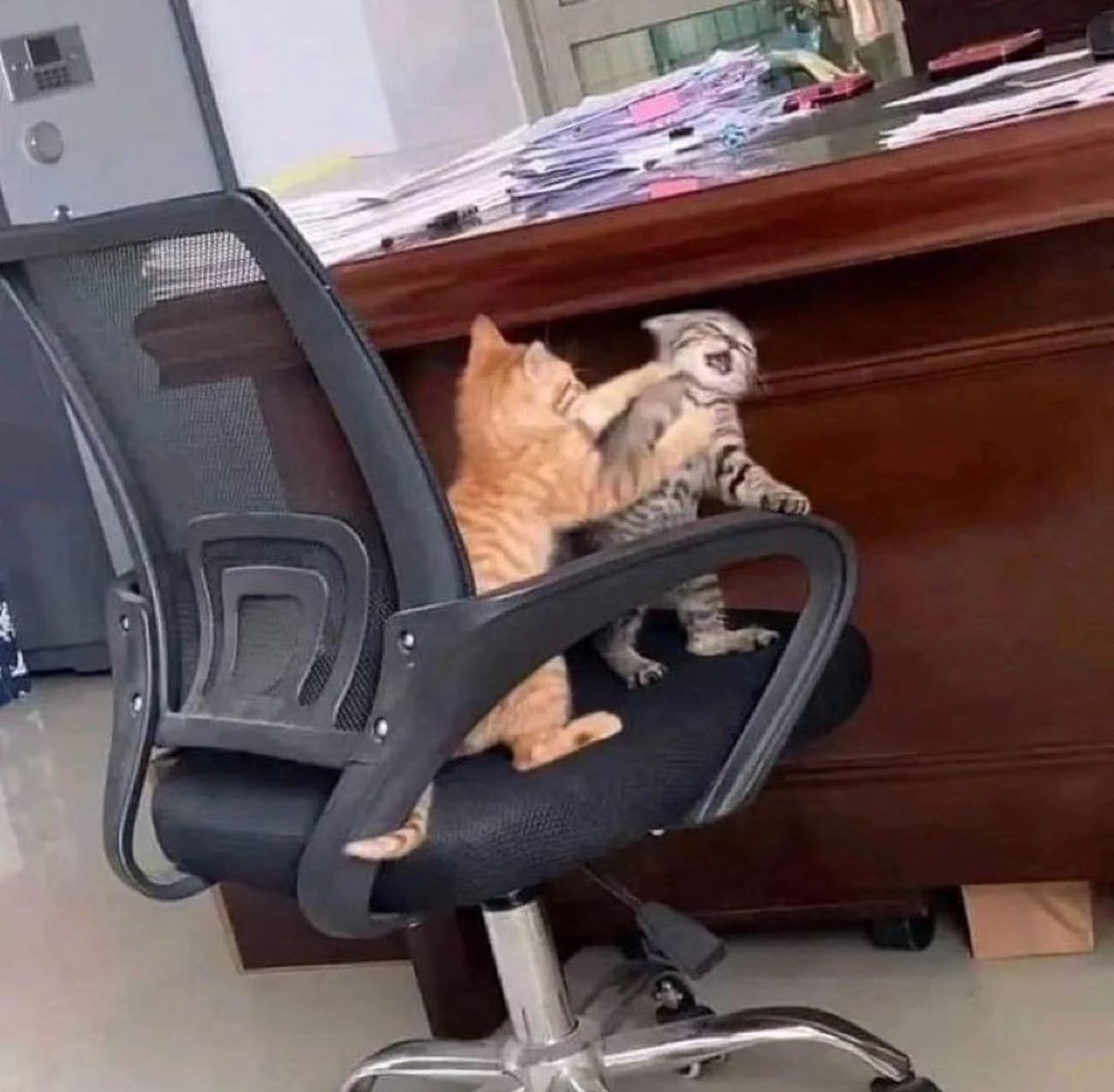 Today I discussed with my brother that this basically summarizes the situation: