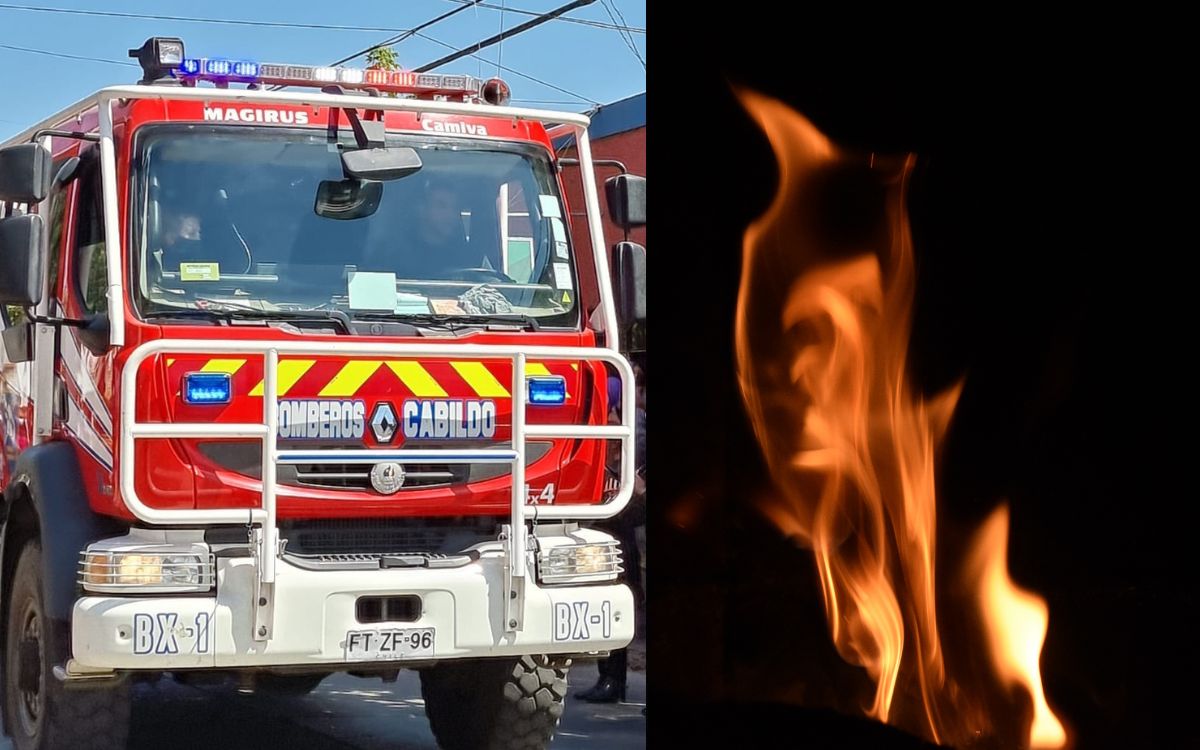 Un incendio destruyó una vivienda de material ligero en La Viña, localidad de #Cabildo: ⬇
observador.cl/incendio-consu…