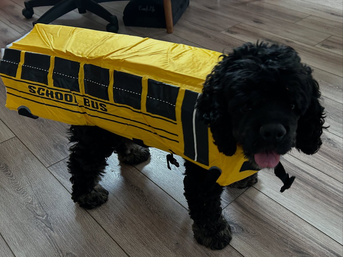 FoodStringer's tweet image. Happy National Dog Day &amp;amp; Happy “Back To School” season- from
Violet!