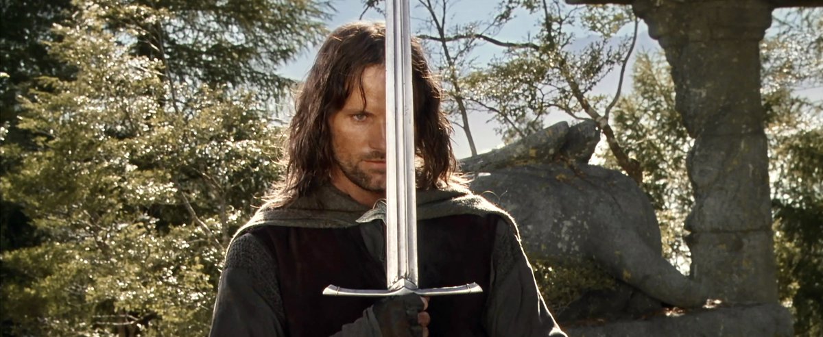 the lord of the rings: the fellowship of the ring (2001)