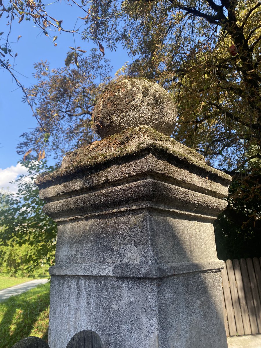 Sonia Zuccaro tweet media