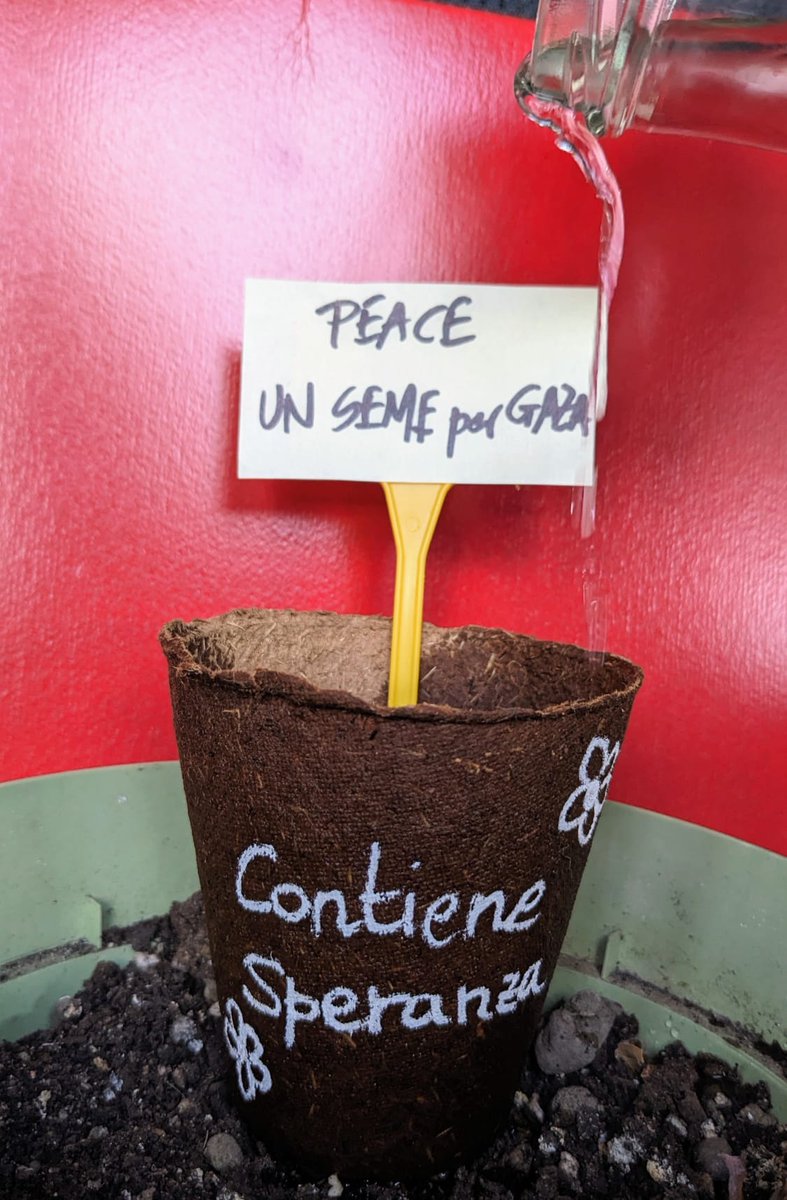 📢Chi coltiva sapere non può tacere. Non restiamo in silenzio mentre Israele, con la complicità occidentale, cancella migliaia di vite. Sosteniamo @GlobalSumudF e chiediamo un cessate il fuoco immediato #unsemeperGaza #CREAttiviperGaza
#stopgenocidioinPalestina #senonoraquando