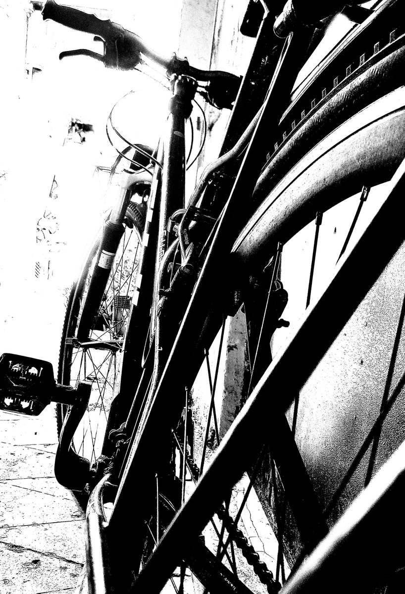 Ya no tiene ramas verdes ni raíces.

#bici