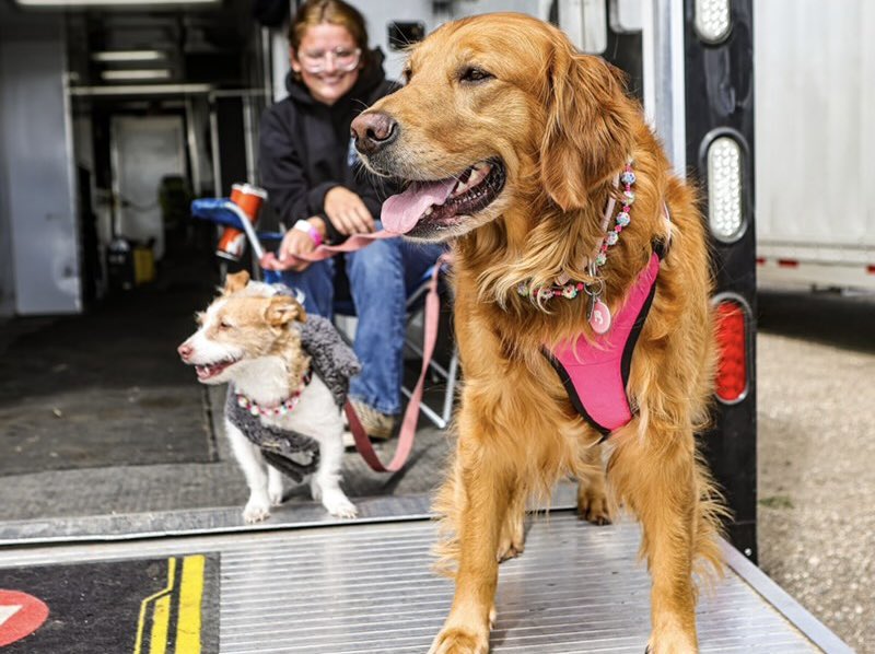 Happy National Dog Day from the World of Outlaws! 🐶

We’re lucky to have several furry friends traveling up and down the road with The Greatest Show on Dirt.