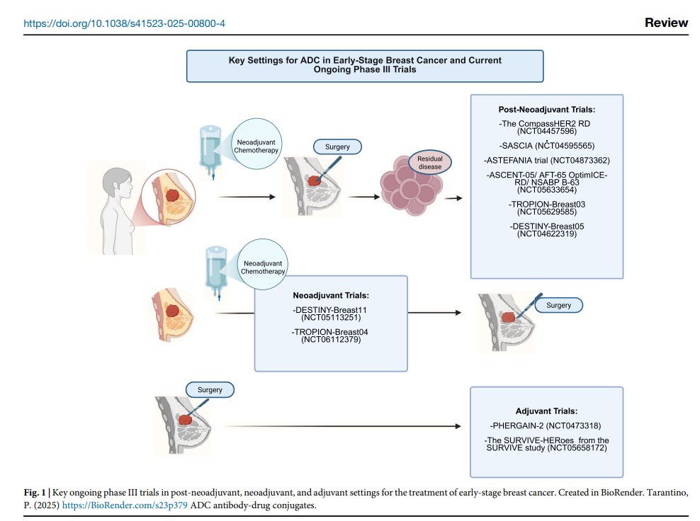 Dana-Farber’s Breast Oncology Center (@dfci_breastonc) on Twitter photo New review in npj Breast Cancer on #AntibodyDrugConjugates for treating early-stage #BreastCancer discusses current use and anticipated evolutions. Read it here:
🔓pubmed.ncbi.nlm.nih.gov/40739147/
✍️#PoojaPatel <a href="/antgiorda/">Antonio Giordano, MD PhD</a> <a href="/IlanaSchlam/">Ilana Schlam</a> <a href="/stolaney1/">Sara Tolaney</a> <a href="/PTarantinoMD/">Paolo Tarantino</a> #ADCs New review in npj Breast Cancer on #AntibodyDrugConjugates for treating early-stage #BreastCancer discusses current use and anticipated evolutions. Read it here:
🔓pubmed.ncbi.nlm.nih.gov/40739147/
✍️#PoojaPatel <a href="/antgiorda/">Antonio Giordano, MD PhD</a> <a href="/IlanaSchlam/">Ilana Schlam</a> <a href="/stolaney1/">Sara Tolaney</a> <a href="/PTarantinoMD/">Paolo Tarantino</a> #ADCs