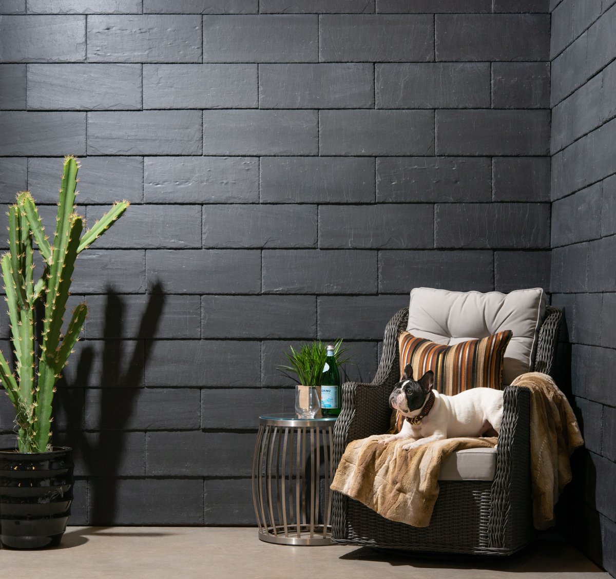 🐶 Happy #InternationalDogDay! We're celebrating by sharing some insights on "barkitecture" - the latest trend in pet-friendly home design. Learn how you can create a stylish and functional space for your furry friend: brick.com/stories/what-i…
#Barkitecture #PetFriendlyHomes