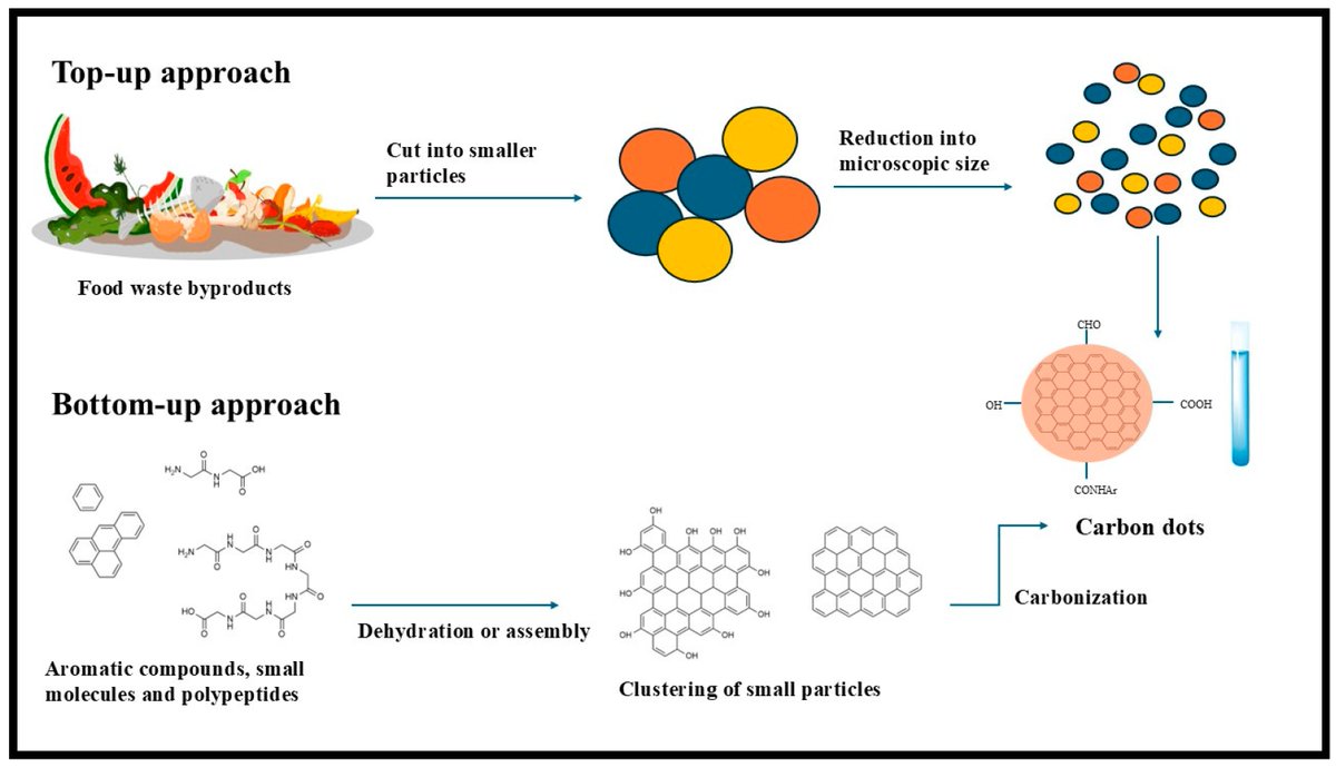Plants_MDPI's tweet image. 🥭 Carbon dots from horticultural extracts = sustainable nanotech for food preservation.

✨ Extend shelf life, block UV, fight microbes &amp;amp; reduce food waste.

✍️ Tshiamo B. Leta et al. 
👉 brnw.ch/21wVdgy

#Nanotechnology #FoodPreservation #Sustainability