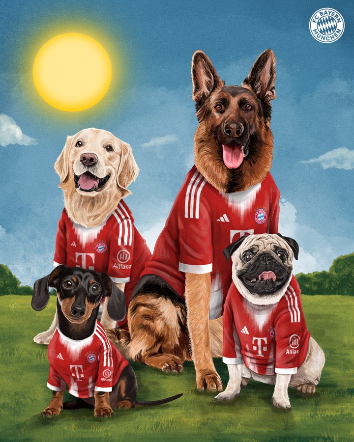 🇺🇸 FC Bayern US 🇨🇦 tweet media