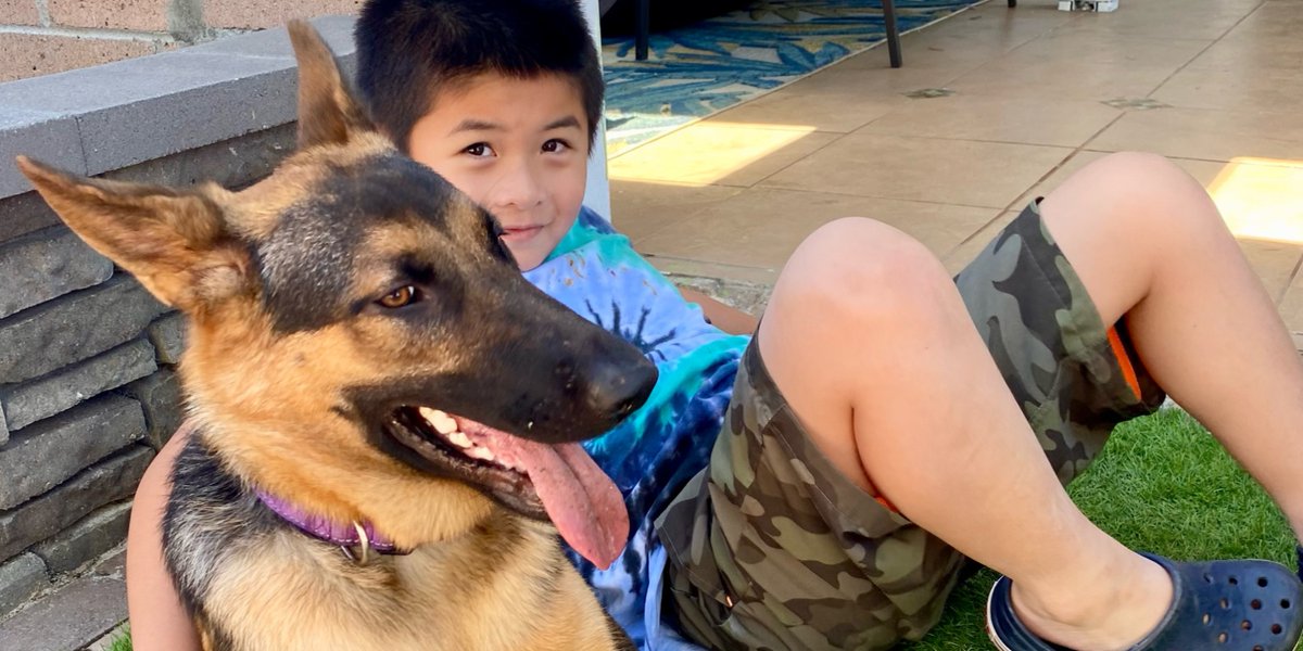 MyopiaSlayer's tweet image. Dogs can smell cancer.
But myopia? That’s your eye doc’s job—not even their German Shepherd can help. 😄
#InternationalDogDay #MyopiaControl #myopiatreatment