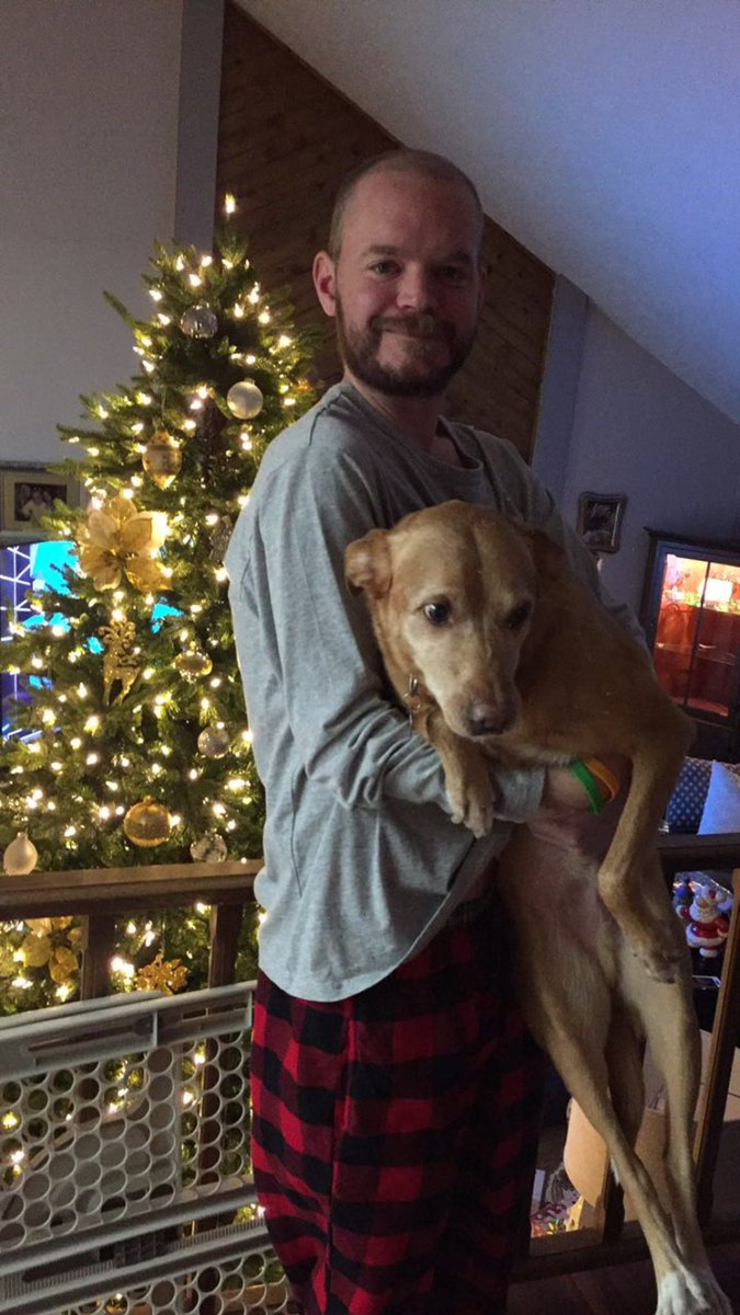 Jonathan Lane tweet media