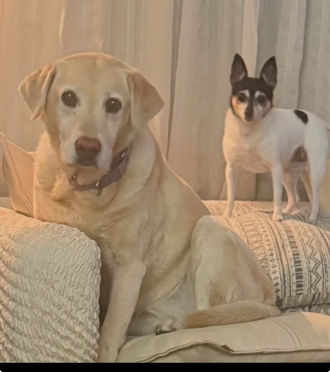Fantasy Sports Radio (@siriusxmfantasy) on Twitter photo It’s National Dog Day!!! Let’s see those #FAmily dog photos!
Which player is your dawg this year? Who’s your ride or die?
<a href="/rotobuzzguy/">Howard Bender</a> | <a href="/JimBowdenGM/">Jim Bowden⚾️</a> | <a href="/shannonb_lunt/">SHAN</a> | <a href="/jwaggs10/">Josh Wagner</a> | <a href="/FantasyAlarm/">Fantasy Alarm</a> It’s National Dog Day!!! Let’s see those #FAmily dog photos!
Which player is your dawg this year? Who’s your ride or die?
<a href="/rotobuzzguy/">Howard Bender</a> | <a href="/JimBowdenGM/">Jim Bowden⚾️</a> | <a href="/shannonb_lunt/">SHAN</a> | <a href="/jwaggs10/">Josh Wagner</a> | <a href="/FantasyAlarm/">Fantasy Alarm</a>