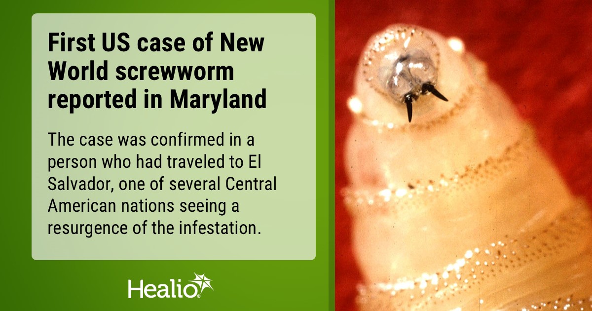 🐛 The first human case of New World screwworm infestation in the U.S. was confirmed by the CDC. New World screwworm flies lay eggs in mammals’ wounds and their larvae feed on live tissue. The scourge has been inching closer to the U.S. in recent years.

healio.com/news/infectiou…