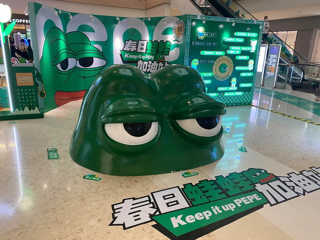 P3bR3's tweet photo. $pepe is everywhere! 💚🐸 https://t.co/ecRYpmGRan
