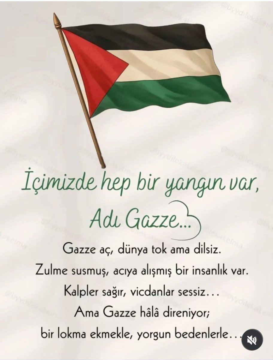 #BesiktasbizimHocabizim
#ReachGaza #666x #Mourinho #doktorumuzunyanındayız #AliKocİstifa #GazzeyeUlas #yarın  #kura #balıklar #Kazakistan  #pafos #şampiyonlarligine #küresellider #yıldızlar #hipokrat #Bissouma #anarbekov #hamdiakın #Taylor #Maliyeden2024EkAtama #ersin #teşhirci
