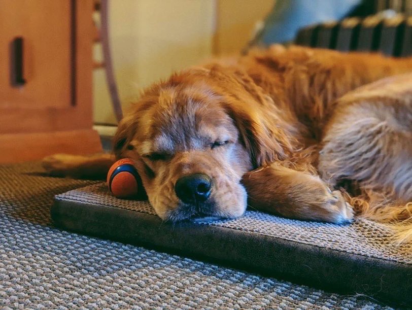 PembertonValleyLodge tweet media