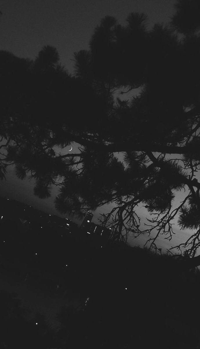 сегодня на калемегдане красоту показывали