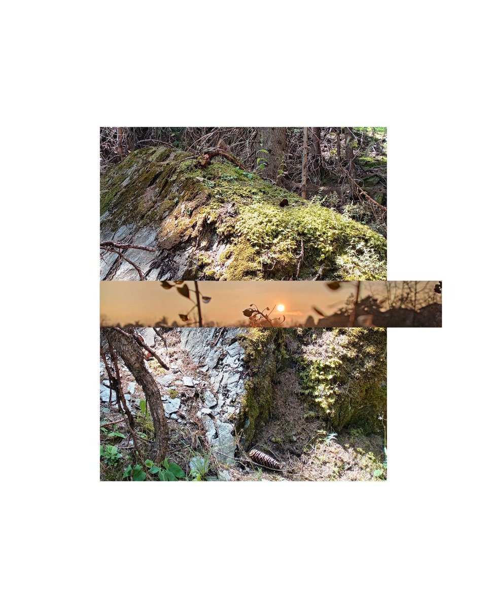 albertoballocca's tweet image. 𓁚▪️🛶🌊

     .

Bio