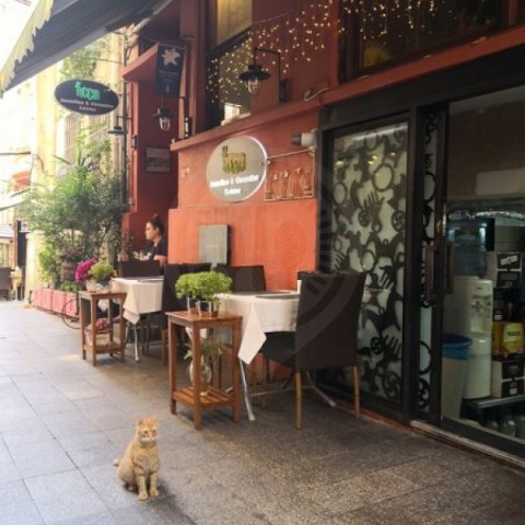 allrestaurants0's tweet photo. FICCIN-Restoran (ORIENTAL )
Address : Istiklal mahalesi, METROPOL HOUSE PERA, İSTANBUL TÜRKIYE
Phone: 902122933786
https://t.co/wkoz22Erxv
@allrestaurants0 @allrestaurantss
#TÜRKIYE #İSTANBUL #ficcin #food #restaurants #suppliers #chef https://t.co/BYWU6htsA7
