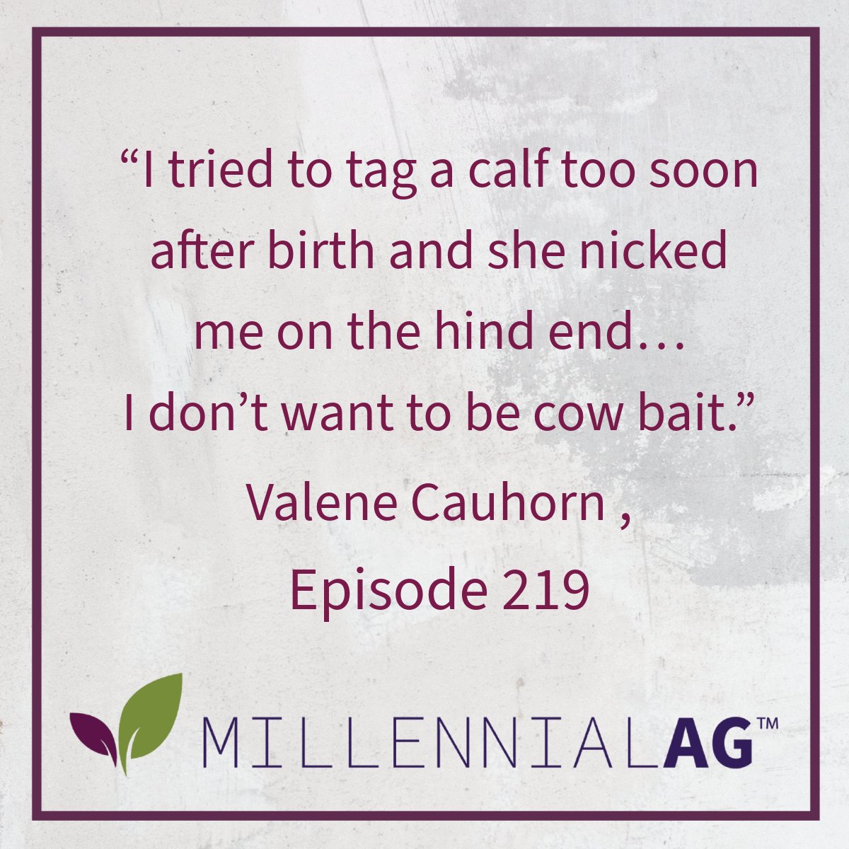 millennial_ag's tweet image. ICYMI: “I tried to tag a calf too soon after birth and she nicked me on the hind end… I don’t want to be cow bait.” – Valene Cauhorn 🐄😂

Ep. 219 of Millennial Ag keeps it fun with Would You Rather: Ag Edition.
👉 pod.link/1477736592

#AgPodcast #MillennialAg #AgHumor