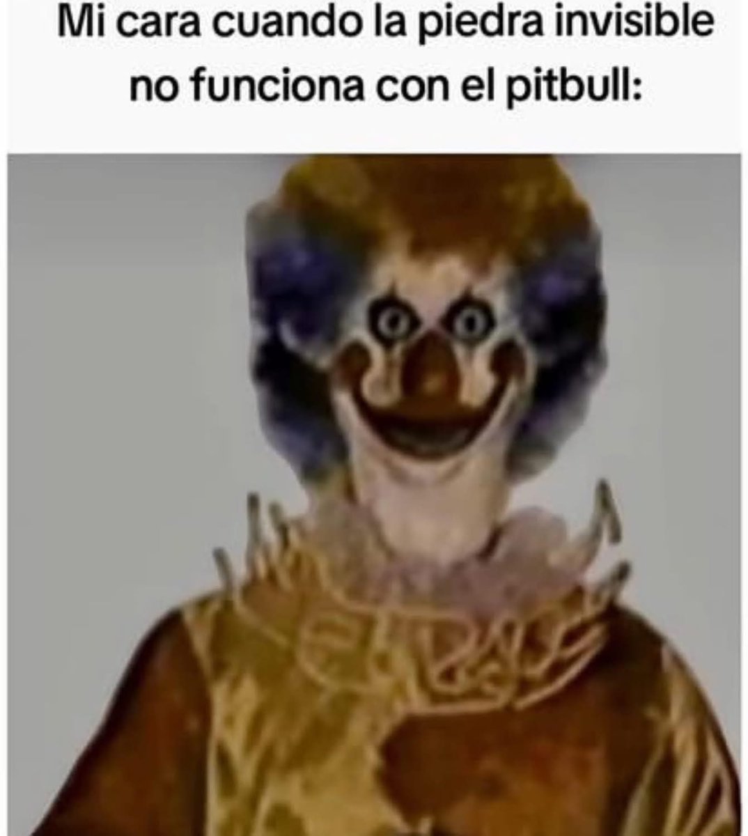 Guayaco sin paro (@sinparoguayaco) on Twitter photo 