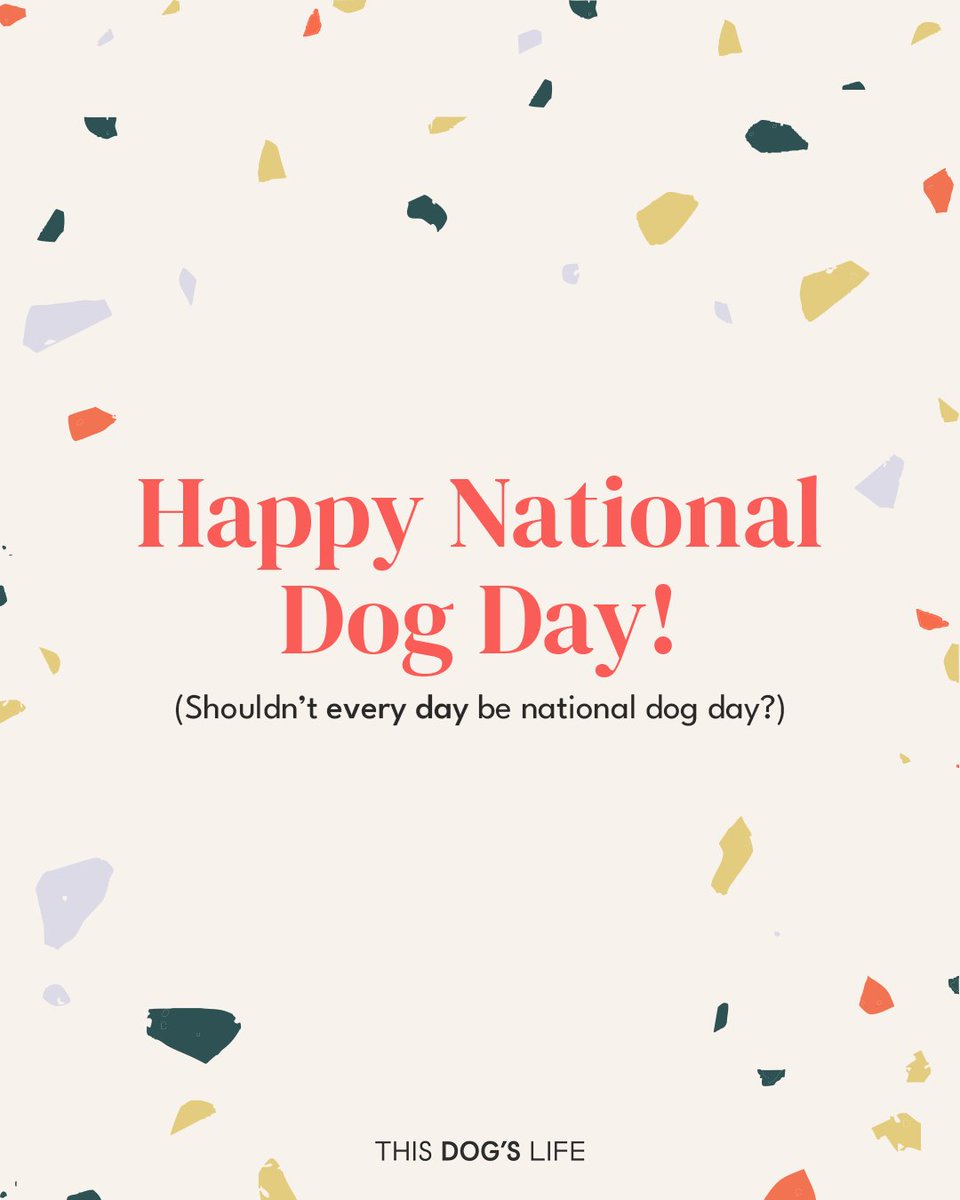 #NationalDogDay What does your dog mean to you?