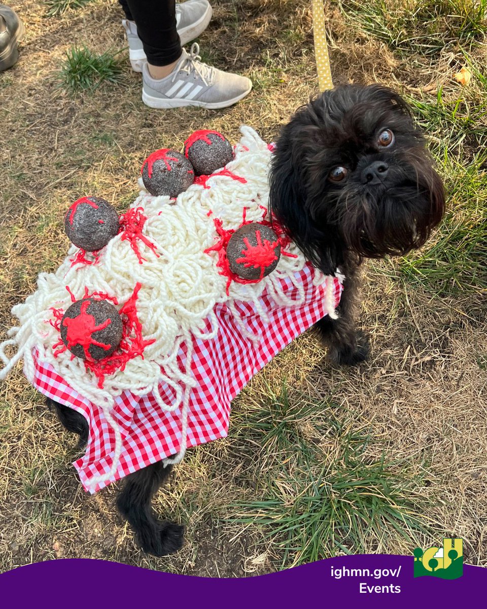 🐾 Happy National Dog Day! 🐶💚

Your dog called… and they said they can’t wait for Let’s Pawty this fall! 🎃🐕

📅 Sat, Oct. 4
📍Rich Valley Park (new location!)
⏰ 2–5 p.m.

Costumes, vendors, treats, and plenty of tail-wagging fun! 🦴✨

📲 Details at ow.ly/88hR50WMkaR