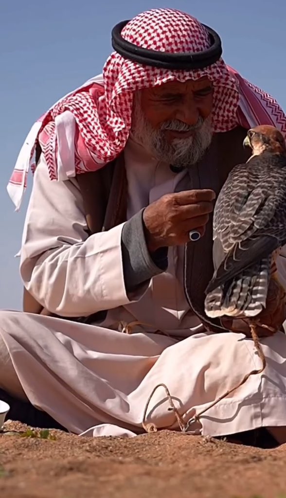 يا حبيبتي غلاك كل يوم يزود
مثل طيرٍ مزيون على كف شايب

اخذه فرخ لين غدا عنده عود
ولا باعه يوم كثرت عليه المصايب

✍🏻سلطان