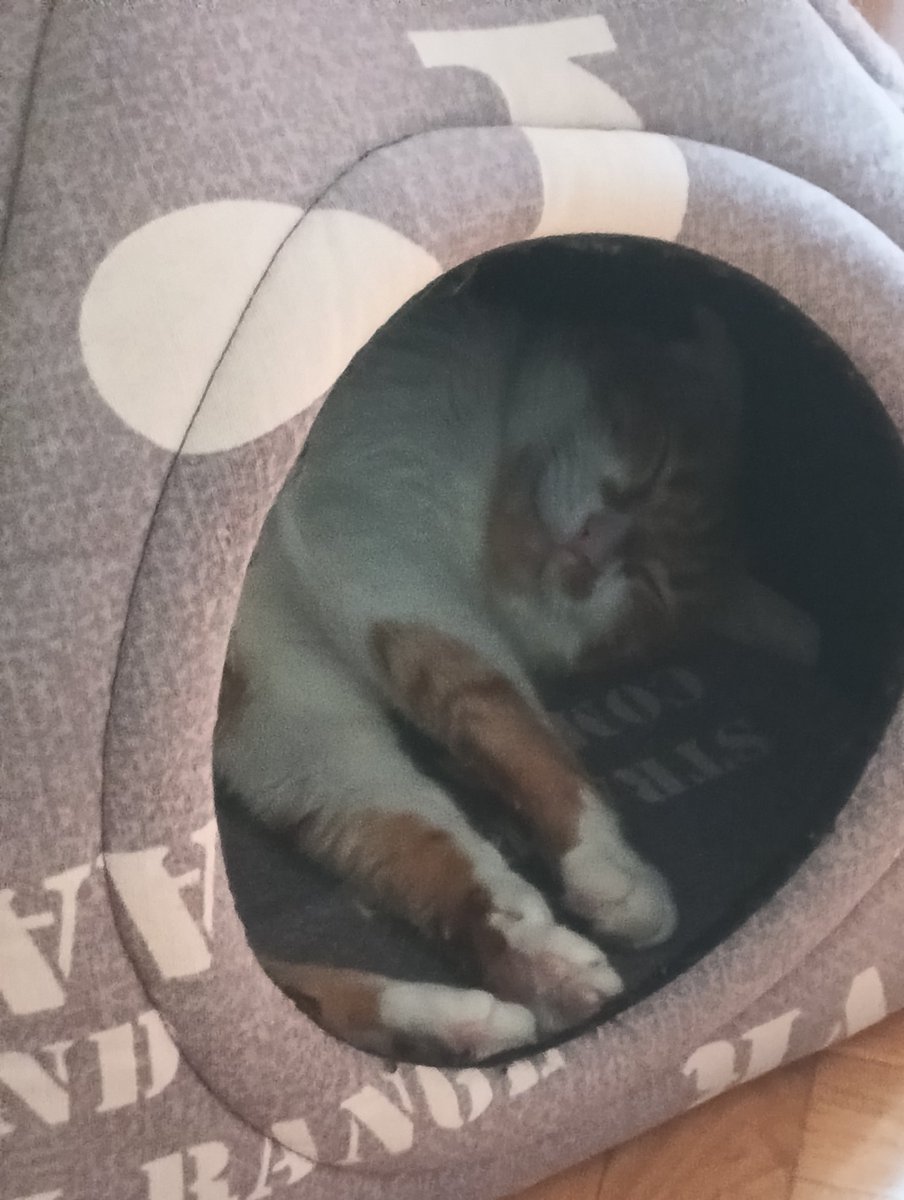 24 años de puro globo (adjunto archivo sin correlación)