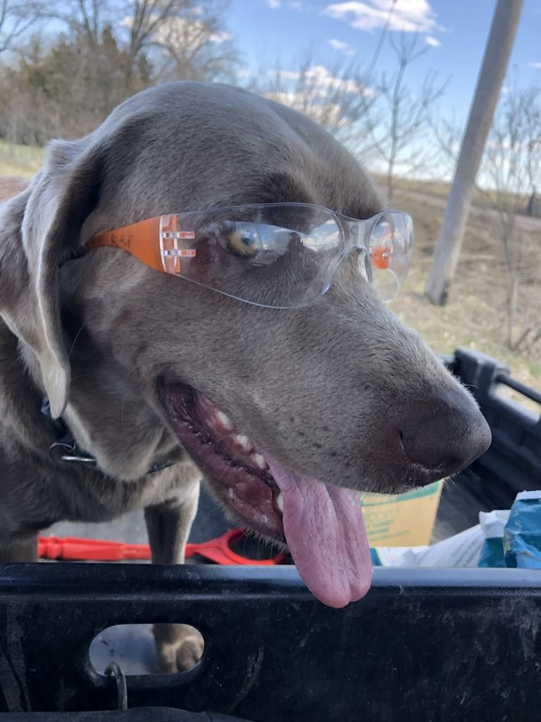 CoachRHeld's tweet image. 