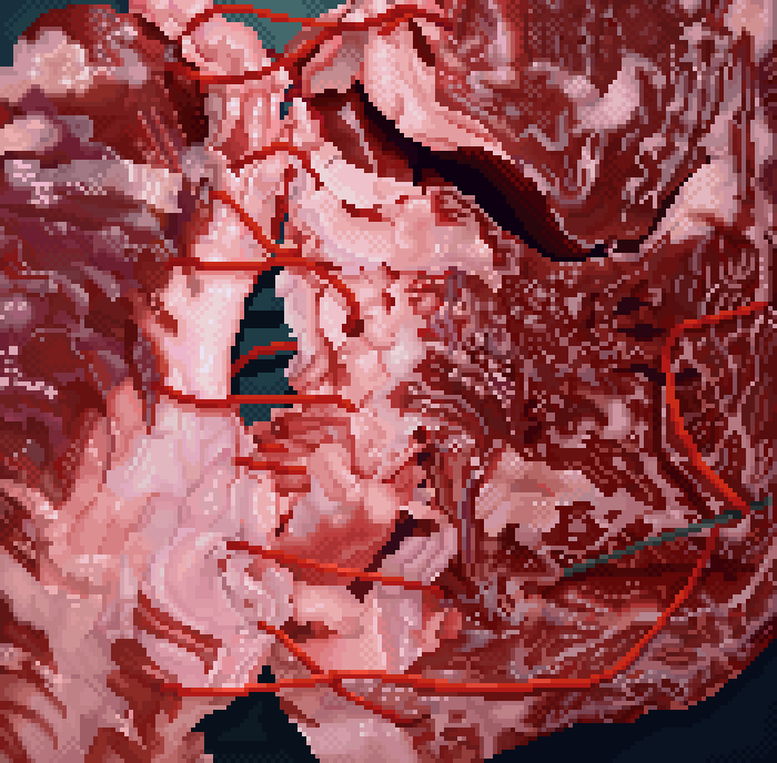 Flopipuf tweet media