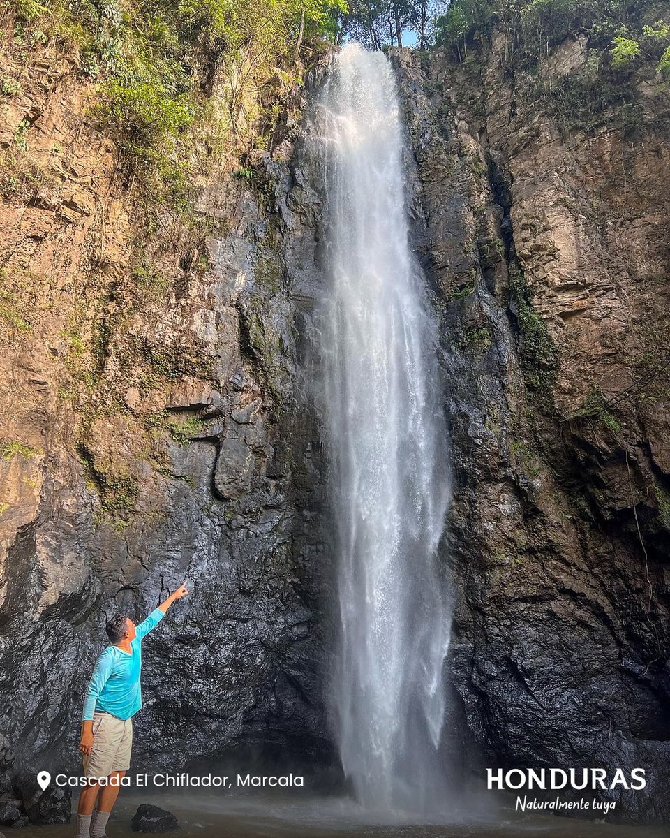 visithonduras's tweet photo. Dicen que al llegar a la Cascada El Chiflador lo primero que escuchás es su canto, un murmullo que crece hasta volverse un rugido de agua pura. 🌿
📸: @norlin_castellon
#VisitHonduras #NaturalmenteTuya #Nature #ElChiflador #Marcala #Travelgram https://t.co/PZ7uSqaieW