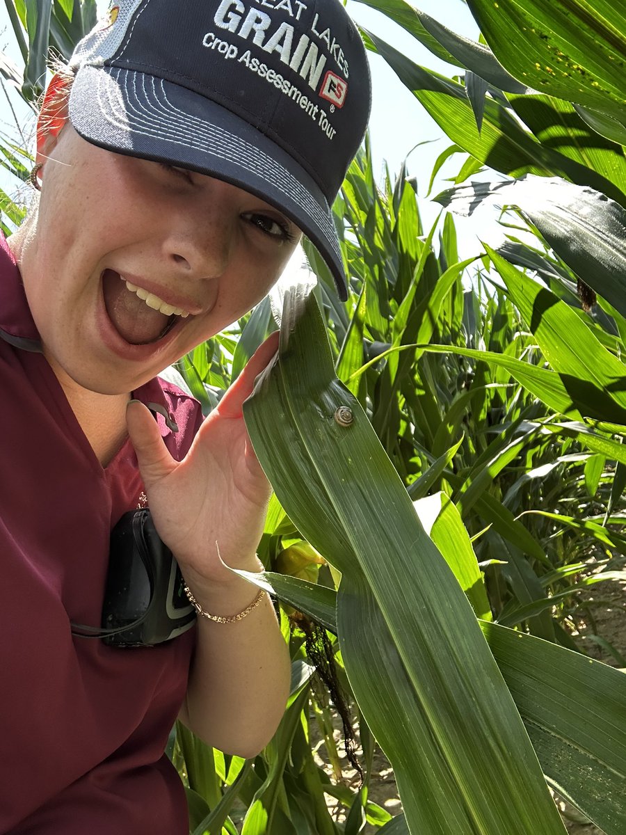 🌽 Day 2 of Crop Tour brought to you by: snails, smut, and western bean cutworm.
Nature really said…. Let’s make it interesting! 🧐 
#GLGTour2025 <a href="/greatlakesgrain/">Great Lakes Grain</a>